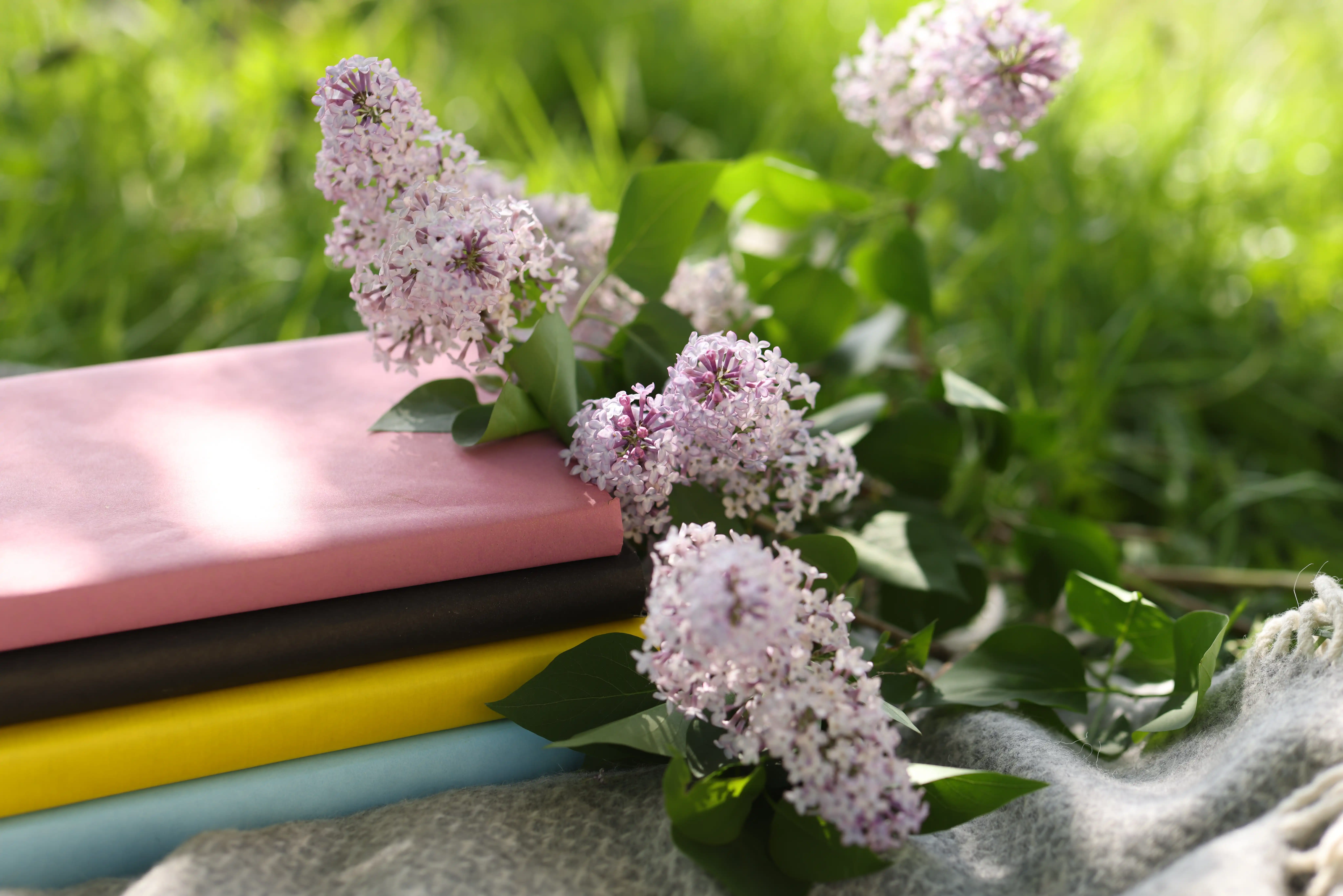 AdobeStock_1513367845