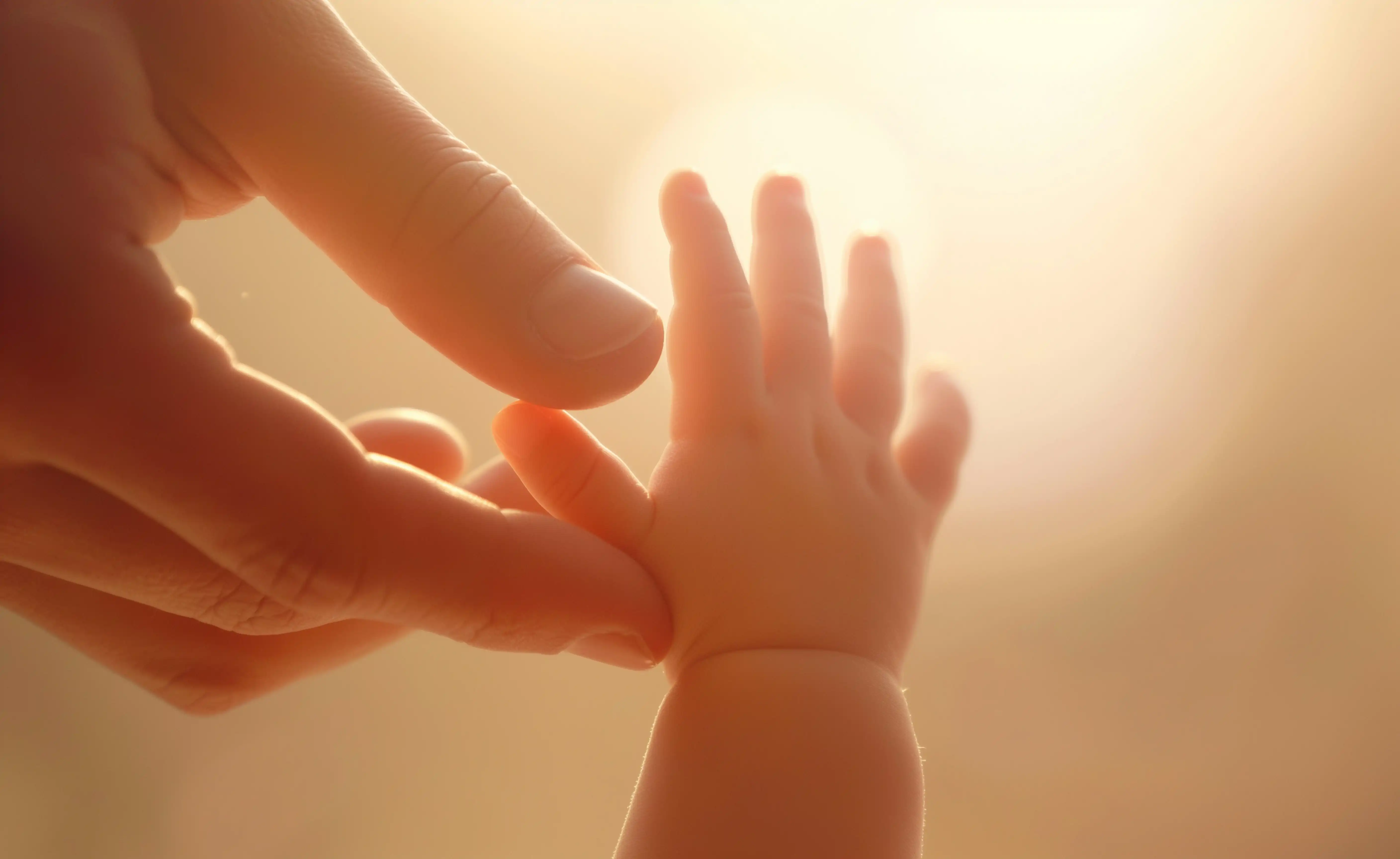 img-biographie-thematique (7)