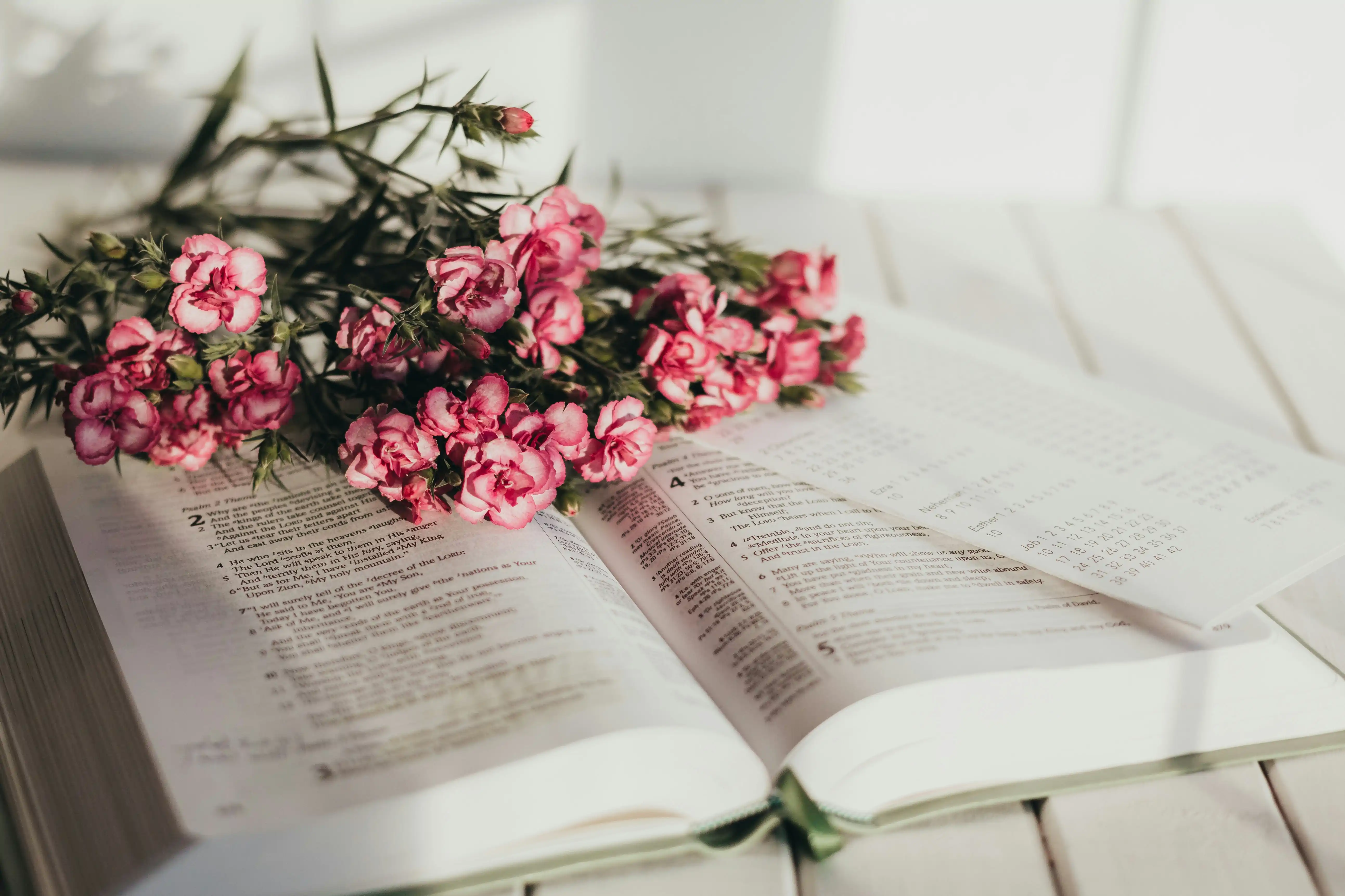 sixteen-miles-out-86p-fMygZ04-unsplash